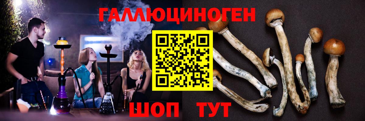 Новошахтинск  Псилоцибиновые грибы MAGIC MUSHROOMS  Псилоцибиновые грибы Cubensis  Вход с VPN 